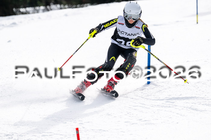 DSV - Actanol Deutscher Schülercup U12 Finale SLX 2026