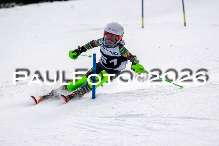 DSV - Actanol Deutscher Schülercup U12 Finale SLX 2026
