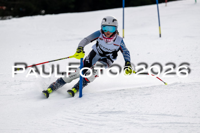 DSV - Actanol Deutscher Schülercup U12 Finale SLX 2026