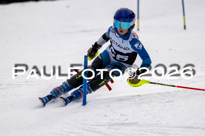 DSV - Actanol Deutscher Schülercup U12 Finale SLX 2026
