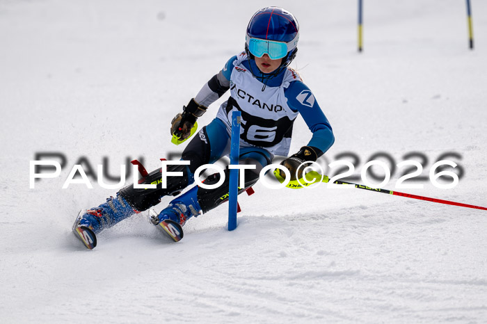 DSV - Actanol Deutscher Schülercup U12 Finale SLX 2026