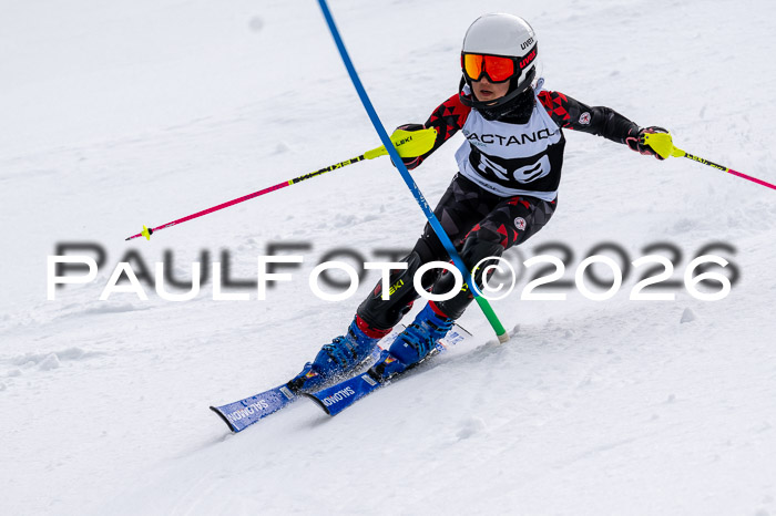 DSV - Actanol Deutscher Schülercup U12 Finale SLX 2026