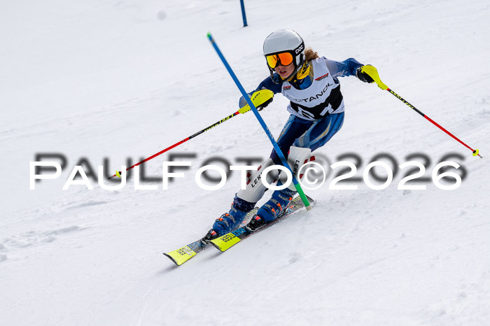 DSV - Actanol Deutscher Schülercup U12 Finale SLX 2026