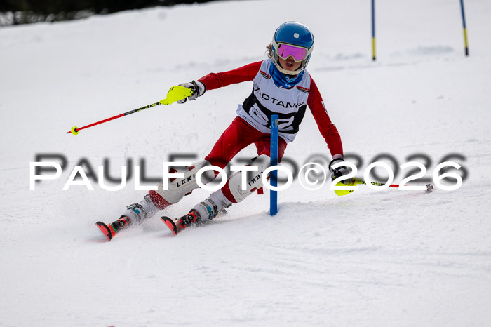 DSV - Actanol Deutscher Schülercup U12 Finale SLX 2026