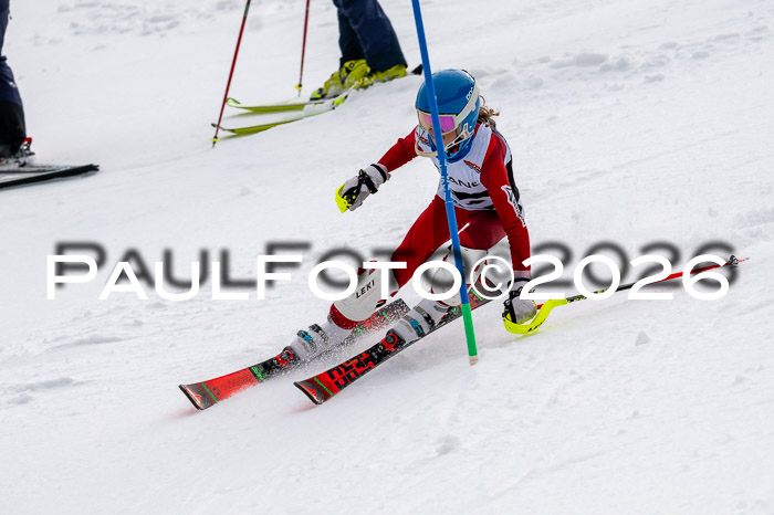 DSV - Actanol Deutscher Schülercup U12 Finale SLX 2026