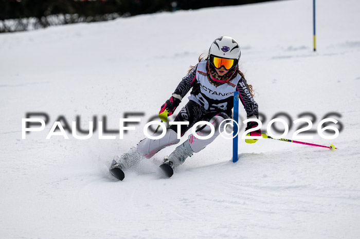 DSV - Actanol Deutscher Schülercup U12 Finale SLX 2026