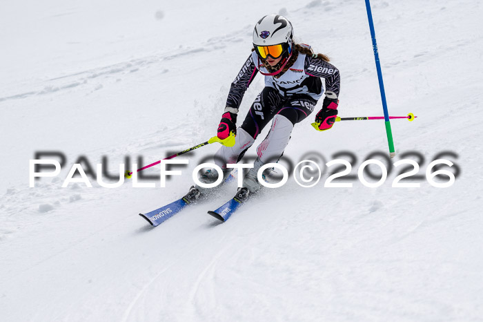 DSV - Actanol Deutscher Schülercup U12 Finale SLX 2026