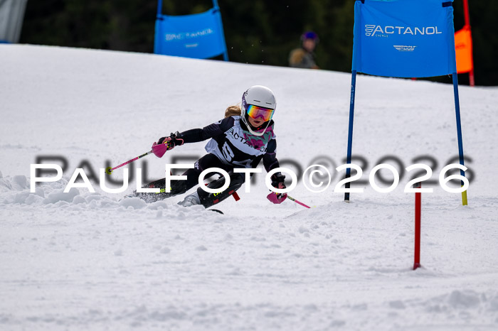 DSV - Actanol Deutscher Schülercup U12 Finale SLX 2026