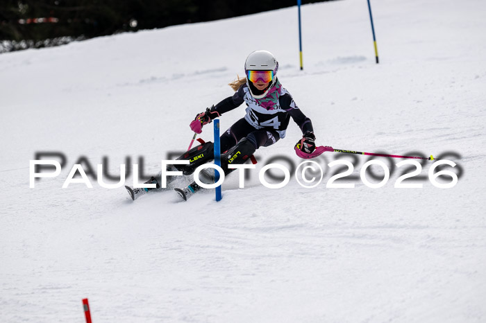 DSV - Actanol Deutscher Schülercup U12 Finale SLX 2026