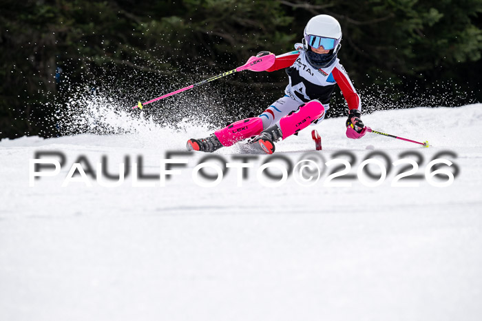 DSV - Actanol Deutscher Schülercup U12 Finale SLX 2026