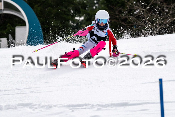 DSV - Actanol Deutscher Schülercup U12 Finale SLX 2026