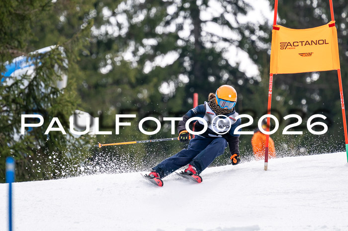 DSV - Actanol Deutscher Schülercup U12 Finale SLX 2026