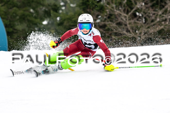 DSV - Actanol Deutscher Schülercup U12 Finale SLX 2026