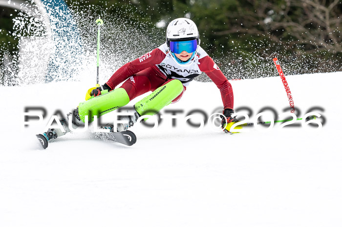 DSV - Actanol Deutscher Schülercup U12 Finale SLX 2026