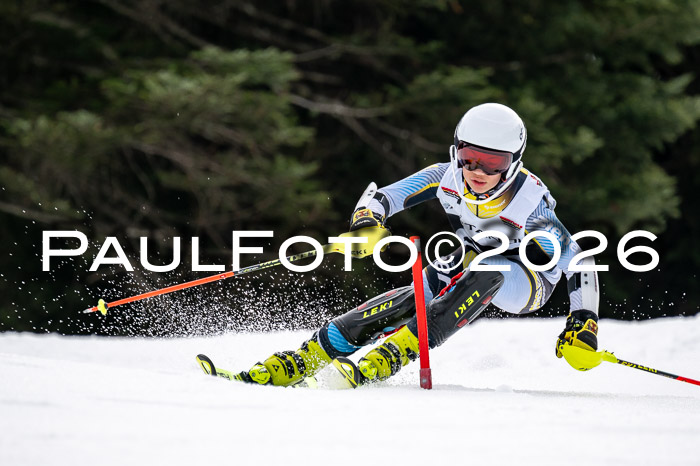 DSV - Actanol Deutscher Schülercup U12 Finale SLX 2026