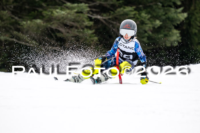 DSV - Actanol Deutscher Schülercup U12 Finale SLX 2026