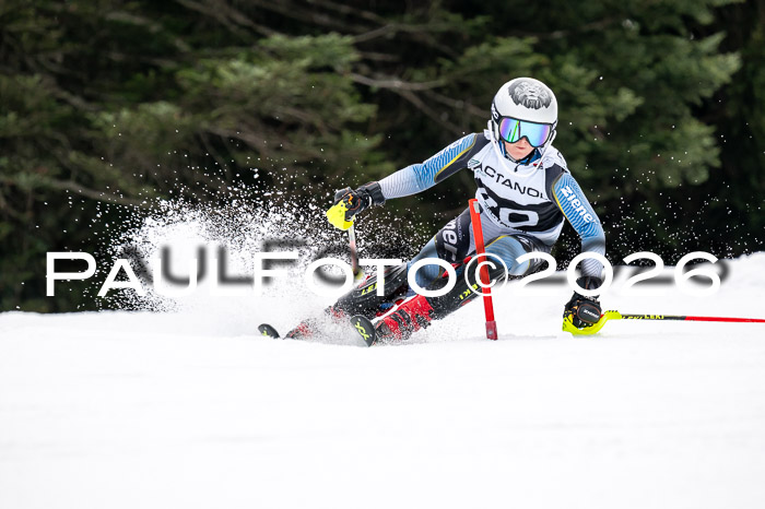 DSV - Actanol Deutscher Schülercup U12 Finale SLX 2026