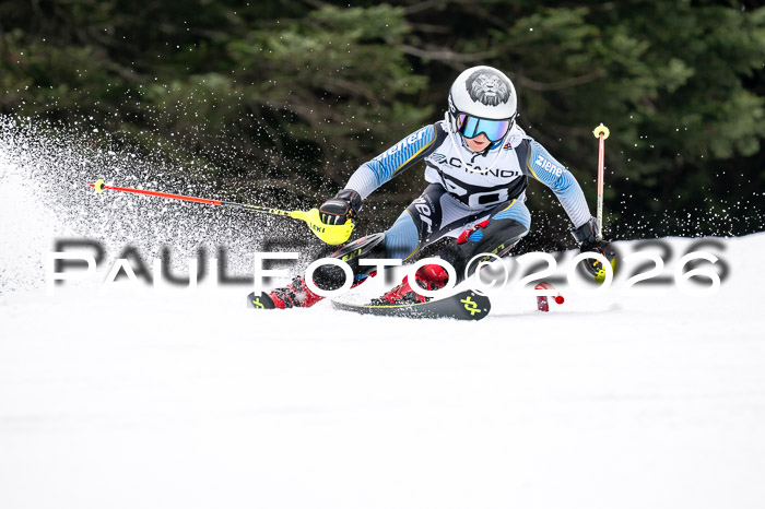 DSV - Actanol Deutscher Schülercup U12 Finale SLX 2026