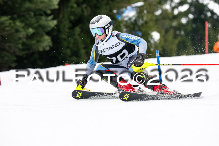 DSV - Actanol Deutscher Schülercup U12 Finale SLX 2026