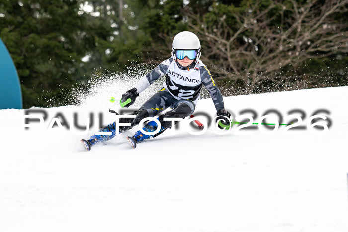 DSV - Actanol Deutscher Schülercup U12 Finale SLX 2026