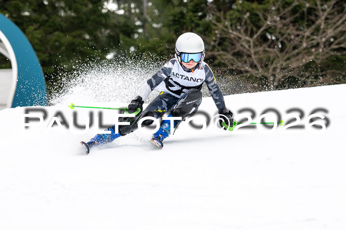 DSV - Actanol Deutscher Schülercup U12 Finale SLX 2026