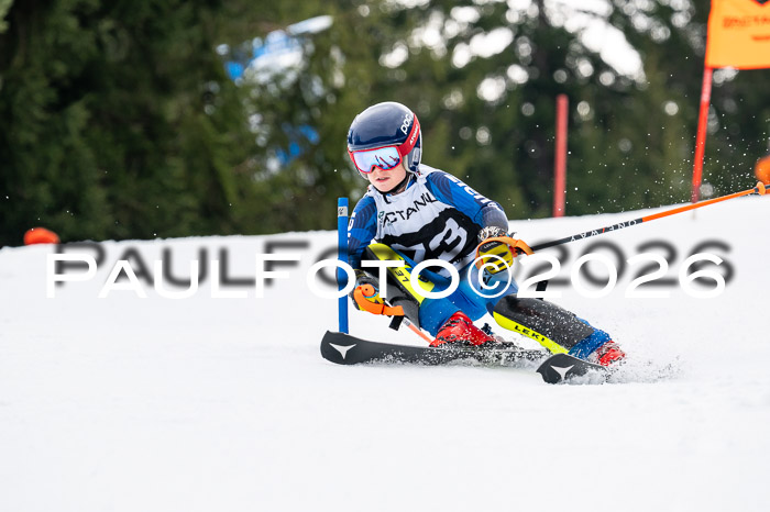 DSV - Actanol Deutscher Schülercup U12 Finale SLX 2026