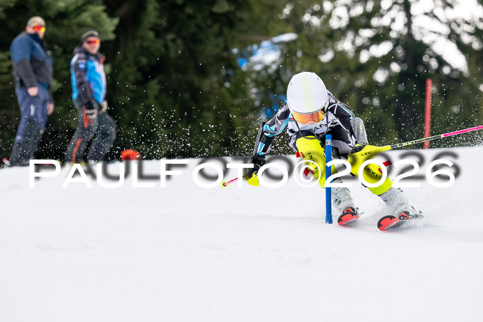 DSV - Actanol Deutscher Schülercup U12 Finale SLX 2026