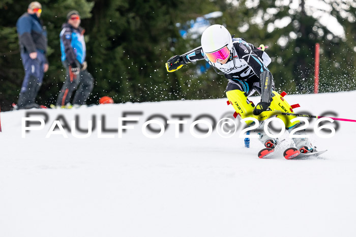 DSV - Actanol Deutscher Schülercup U12 Finale SLX 2026