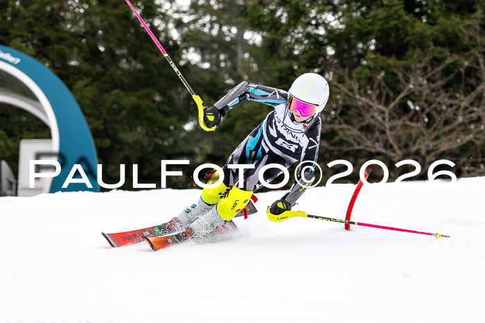DSV - Actanol Deutscher Schülercup U12 Finale SLX 2026