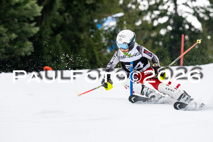 DSV - Actanol Deutscher Schülercup U12 Finale SLX 2026