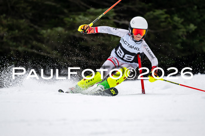 DSV - Actanol Deutscher Schülercup U12 Finale SLX 2026