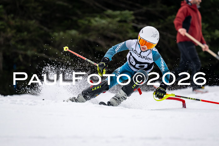 DSV - Actanol Deutscher Schülercup U12 Finale SLX 2026