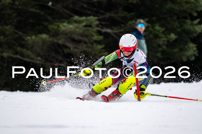 DSV - Actanol Deutscher Schülercup U12 Finale SLX 2026
