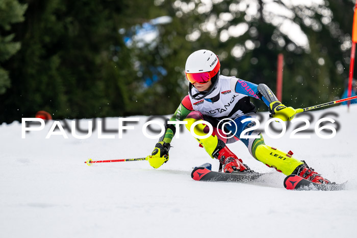 DSV - Actanol Deutscher Schülercup U12 Finale SLX 2026