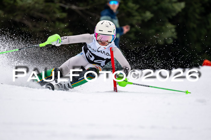 DSV - Actanol Deutscher Schülercup U12 Finale SLX 2026