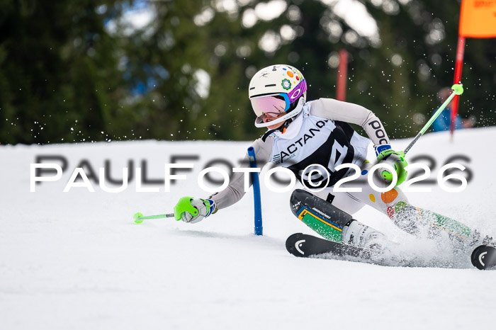 DSV - Actanol Deutscher Schülercup U12 Finale SLX 2026