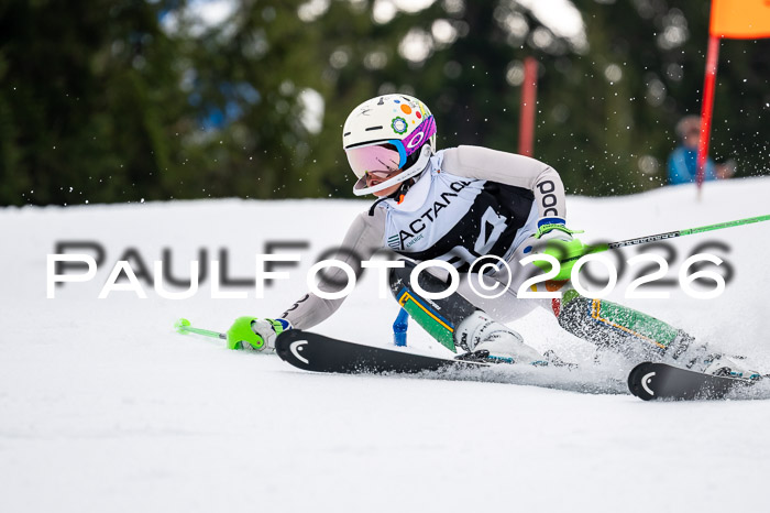 DSV - Actanol Deutscher Schülercup U12 Finale SLX 2026