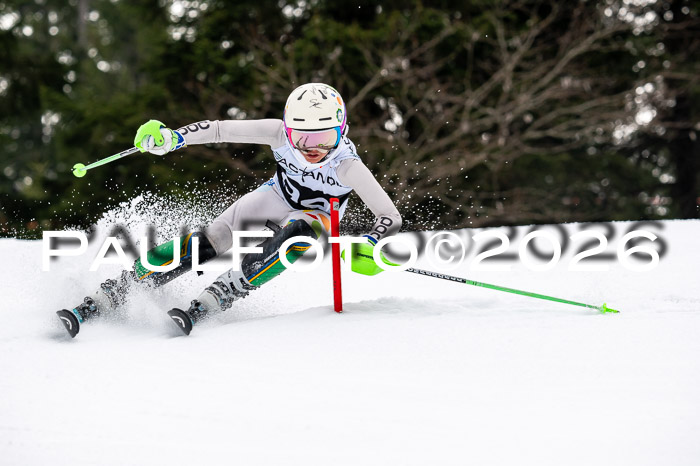 DSV - Actanol Deutscher Schülercup U12 Finale SLX 2026