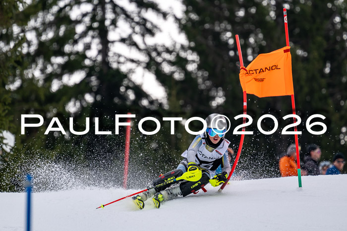 DSV - Actanol Deutscher Schülercup U12 Finale SLX 2026