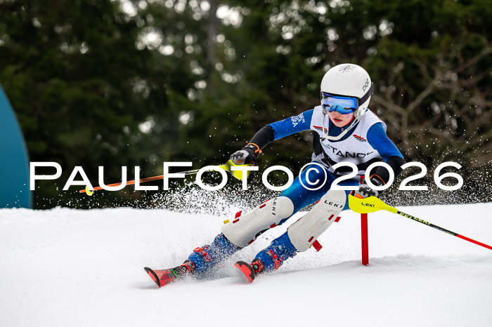 DSV - Actanol Deutscher Schülercup U12 Finale SLX 2026