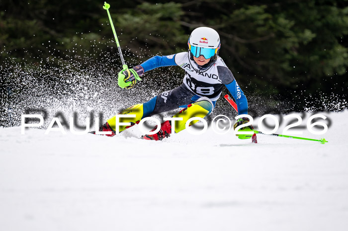 DSV - Actanol Deutscher Schülercup U12 Finale SLX 2026