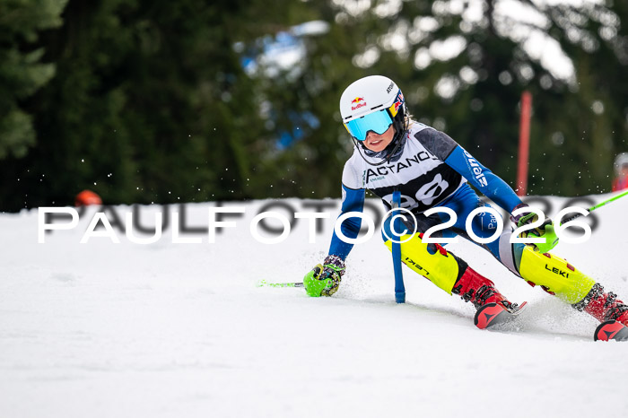 DSV - Actanol Deutscher Schülercup U12 Finale SLX 2026