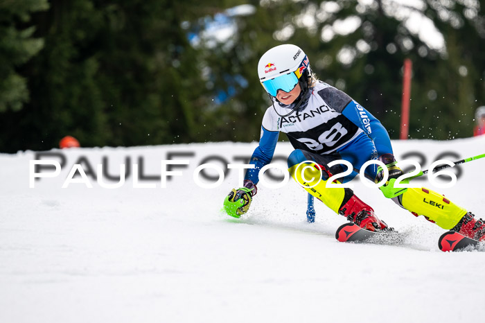 DSV - Actanol Deutscher Schülercup U12 Finale SLX 2026