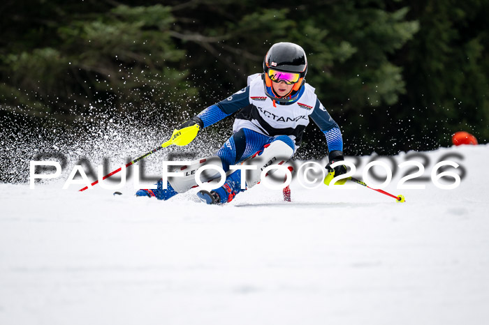 DSV - Actanol Deutscher Schülercup U12 Finale SLX 2026