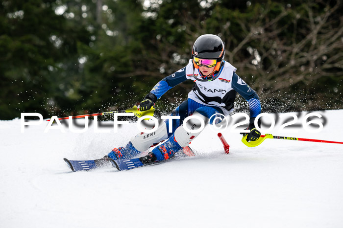 DSV - Actanol Deutscher Schülercup U12 Finale SLX 2026