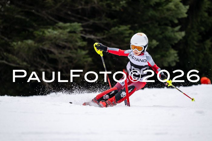 DSV - Actanol Deutscher Schülercup U12 Finale SLX 2026