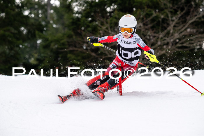 DSV - Actanol Deutscher Schülercup U12 Finale SLX 2026