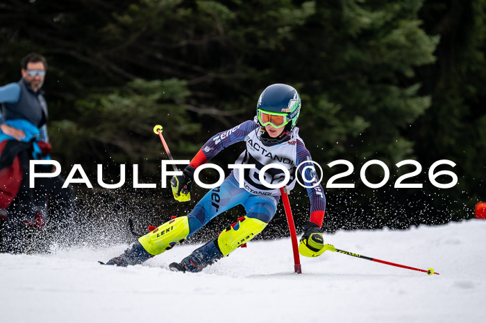 DSV - Actanol Deutscher Schülercup U12 Finale SLX 2026