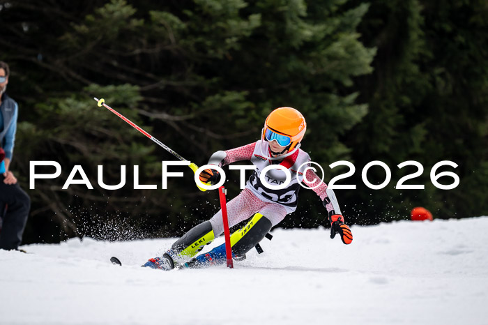 DSV - Actanol Deutscher Schülercup U12 Finale SLX 2026