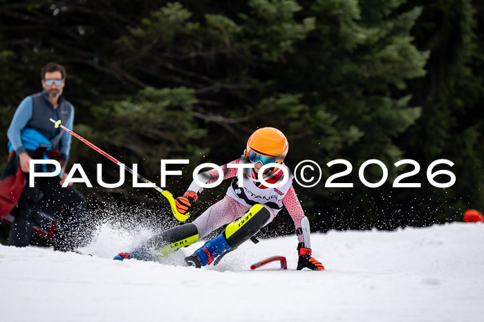 DSV - Actanol Deutscher Schülercup U12 Finale SLX 2026